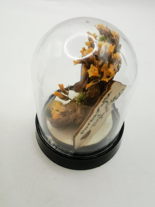 Amethyst Point & Tigers Eye Crystal Dome Terrarium