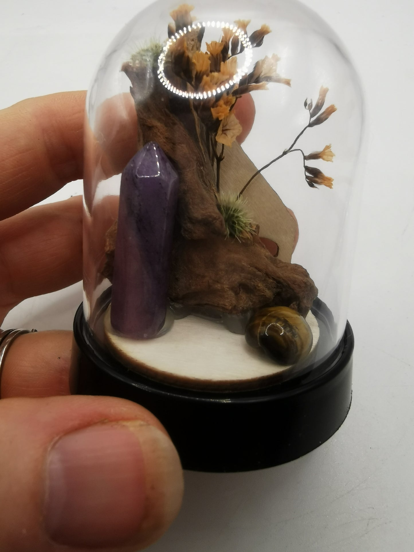 Amethyst Point & Tigers Eye Crystal Dome Terrarium