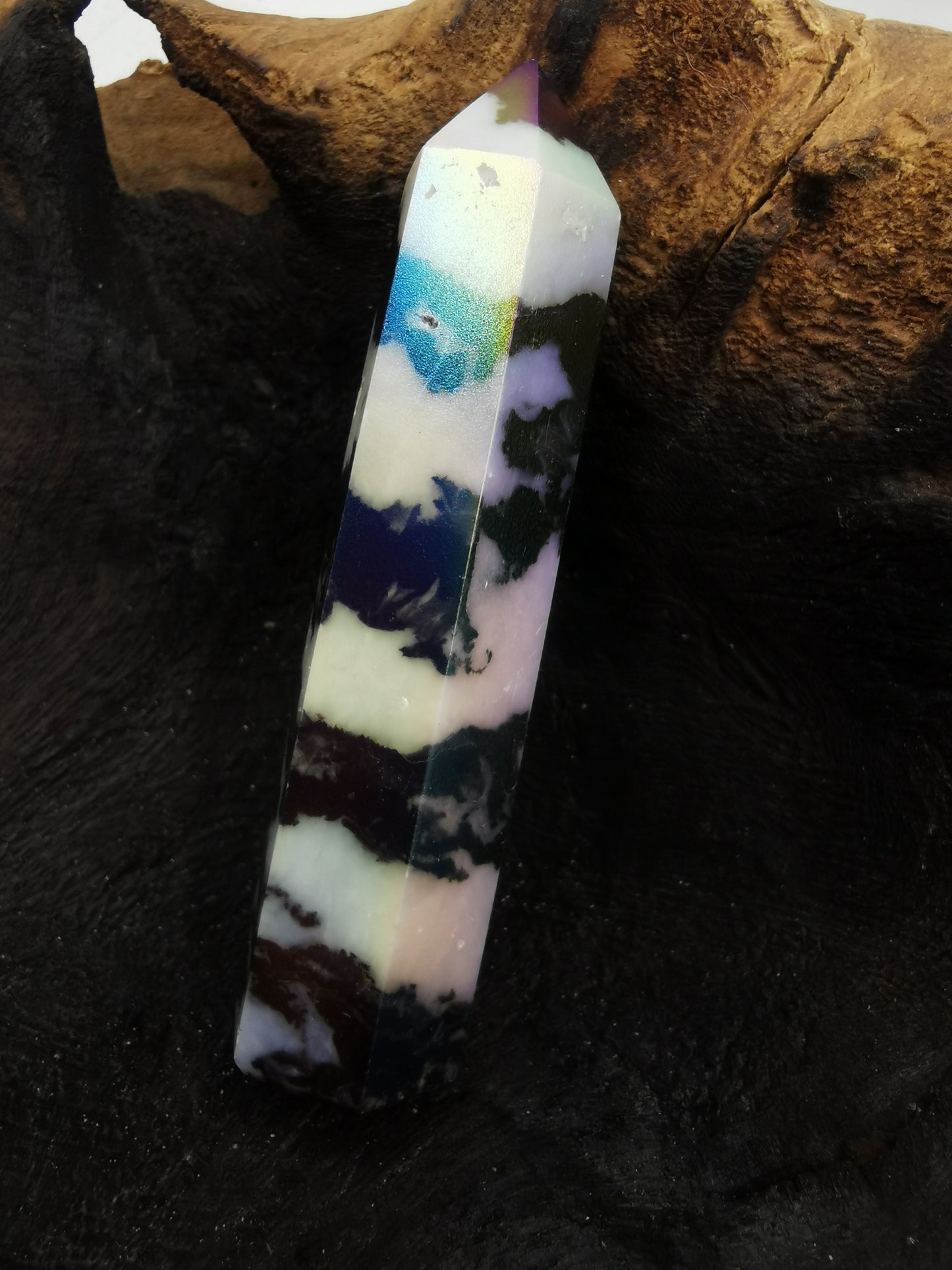 Zebra Aura Point K
