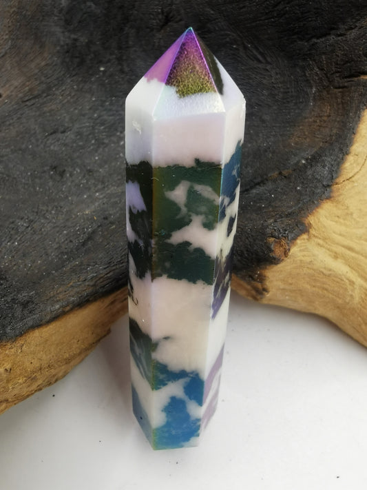 Zebra Aura Point K