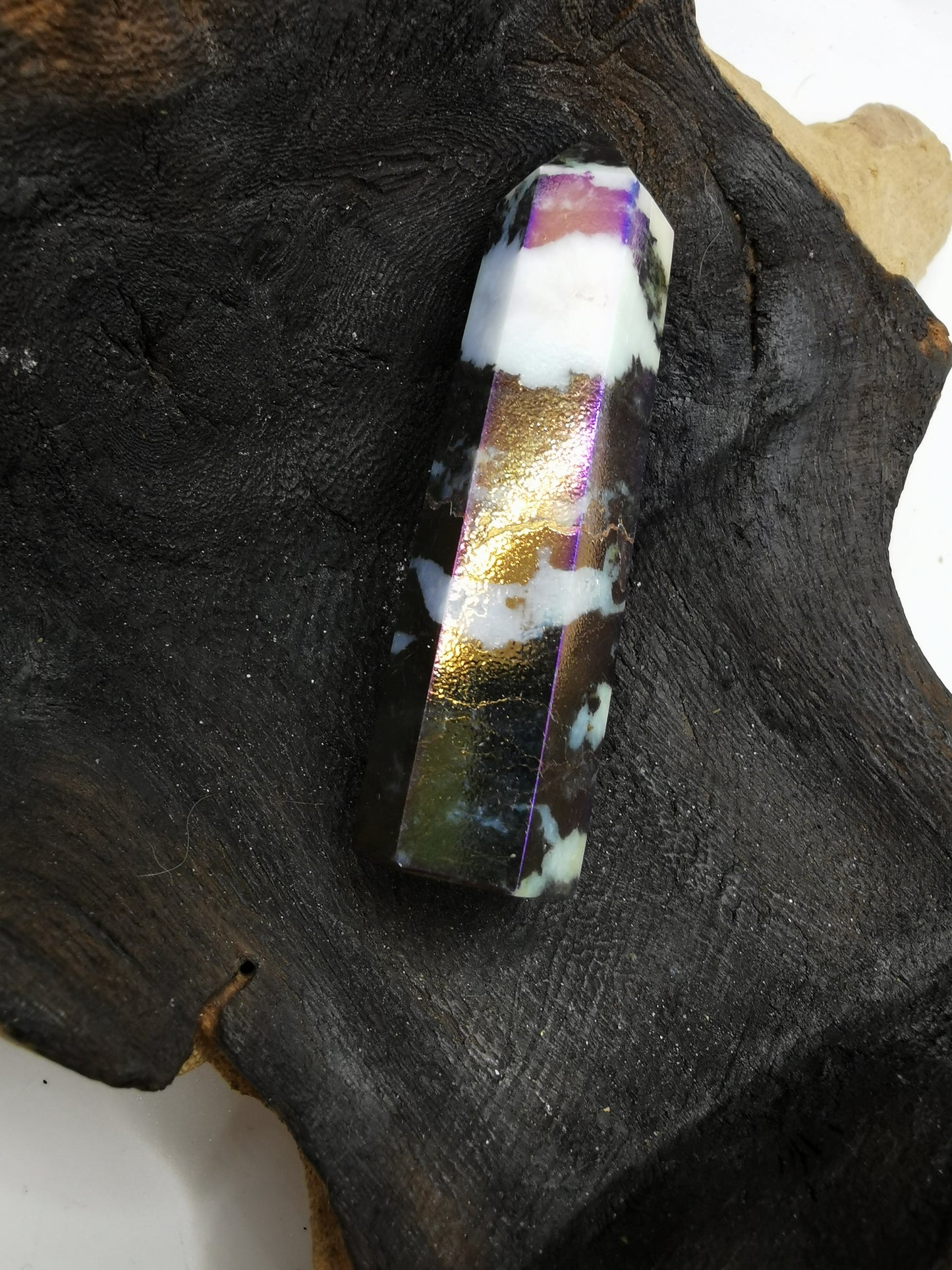 Zebra Aura Point M