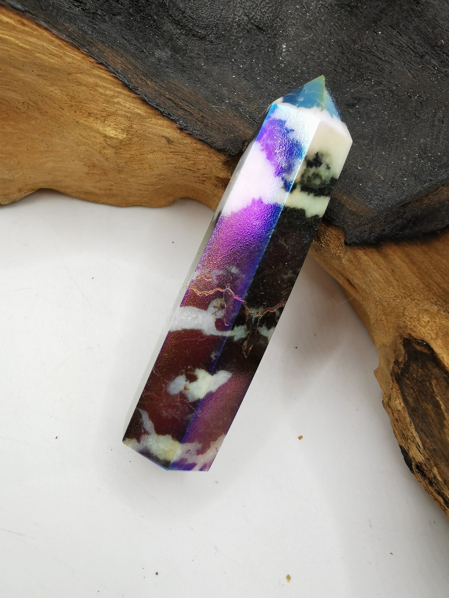 Zebra Aura Point M