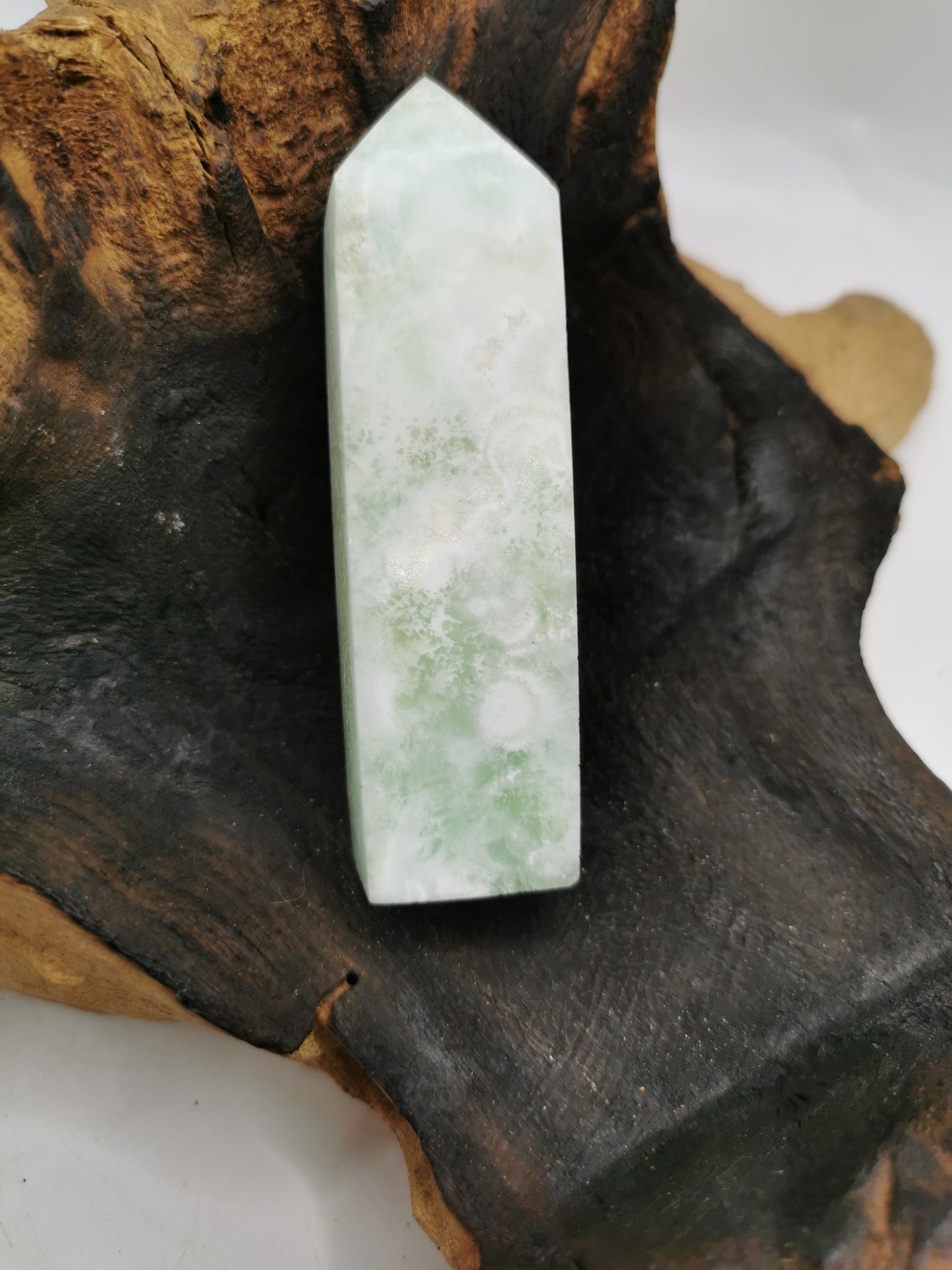 Caribbean Calicite A