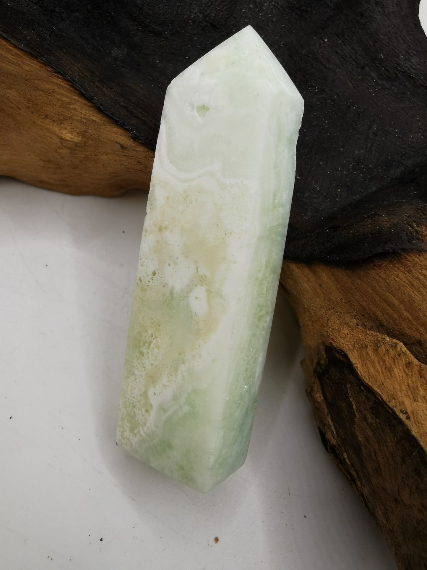 Caribbean Calicite A