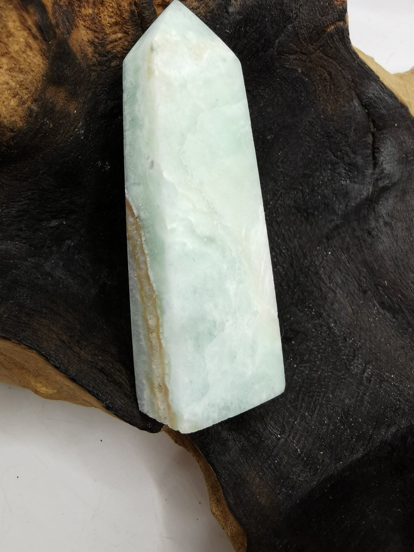 Caribbean Calicite B
