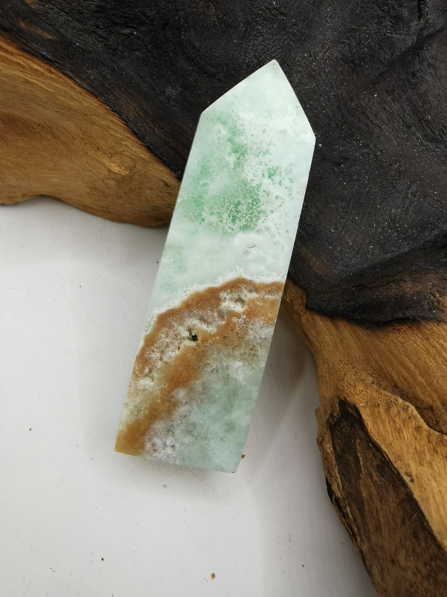 Caribbean Calicite B