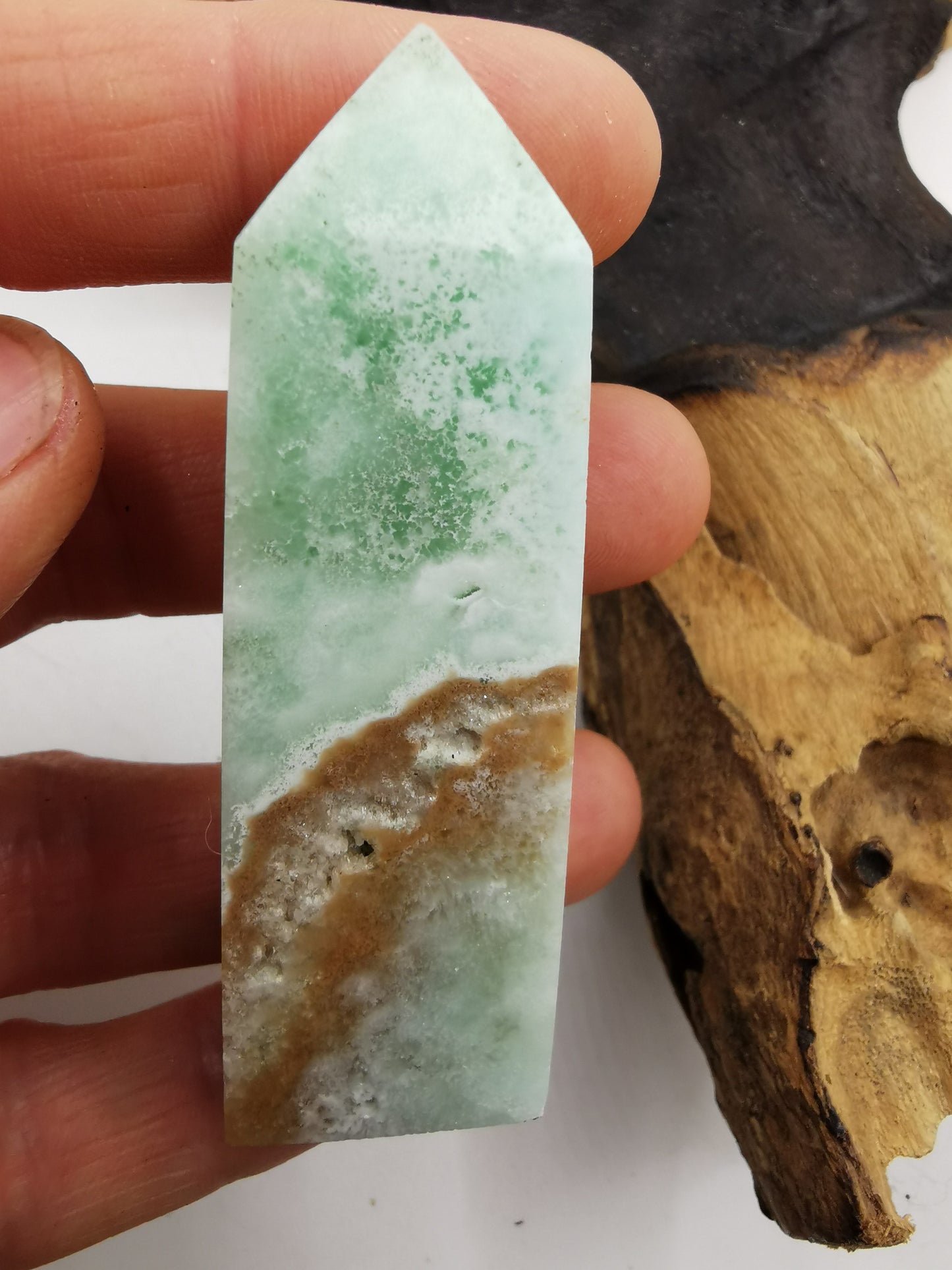 Caribbean Calicite B