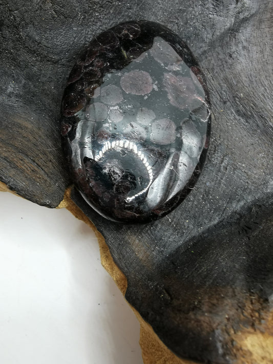 Garnet Palm Stone A