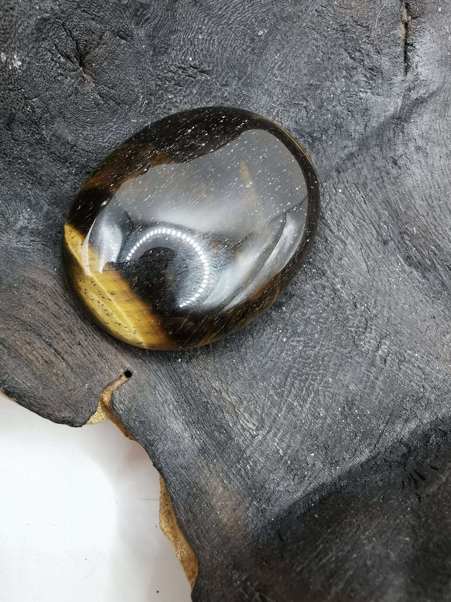 Tigers Eye Palm B