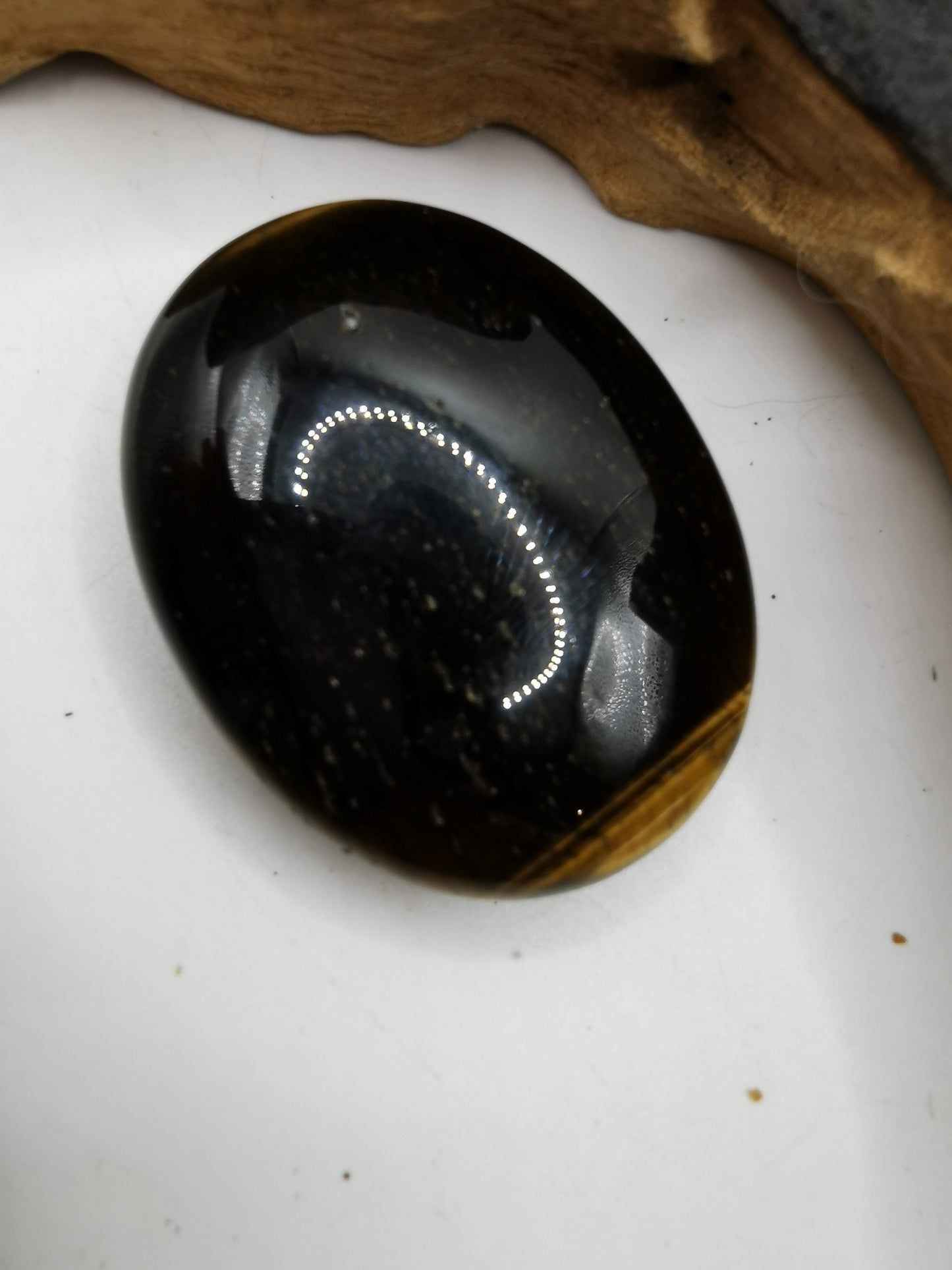 Tigers Eye Palm B