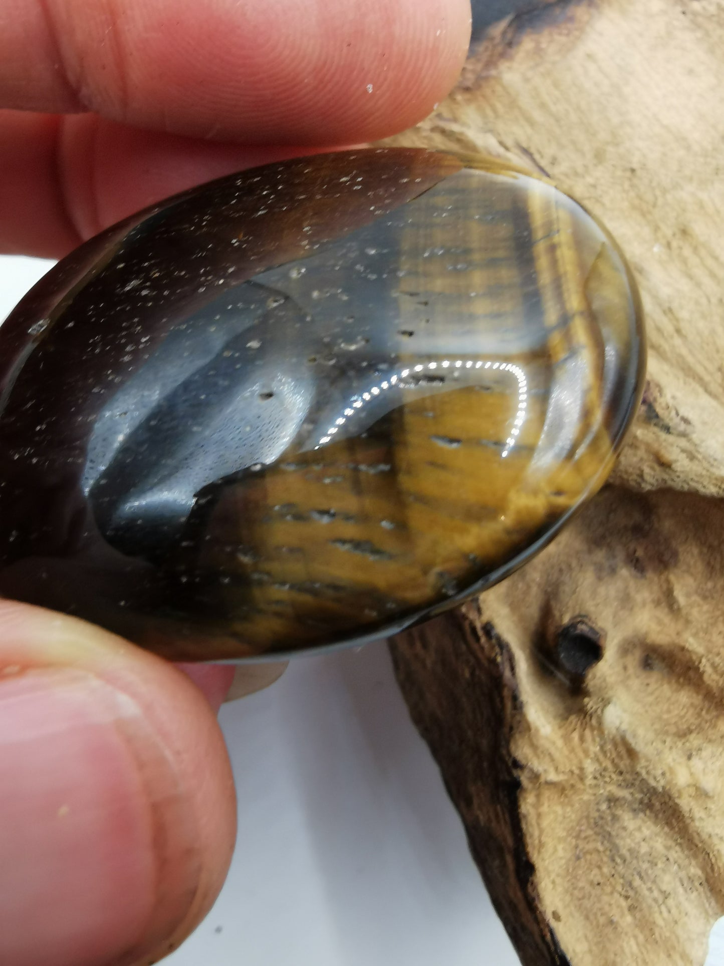 Tigers Eye Palm B
