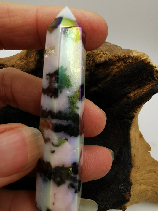 Zebra Aura Point N