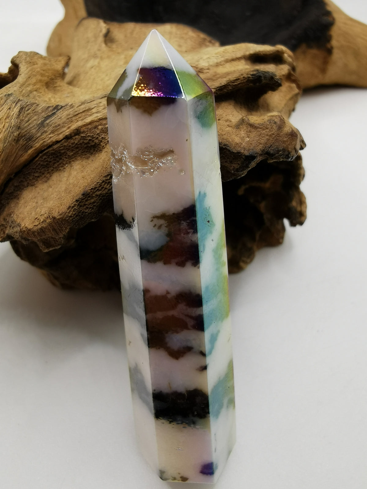 Zebra Aura Point N