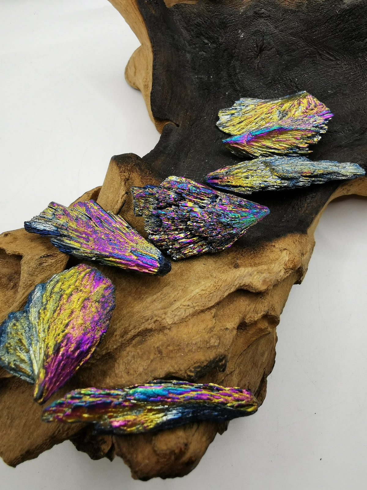 Rainbow Aura Peacock Kyanite Feather