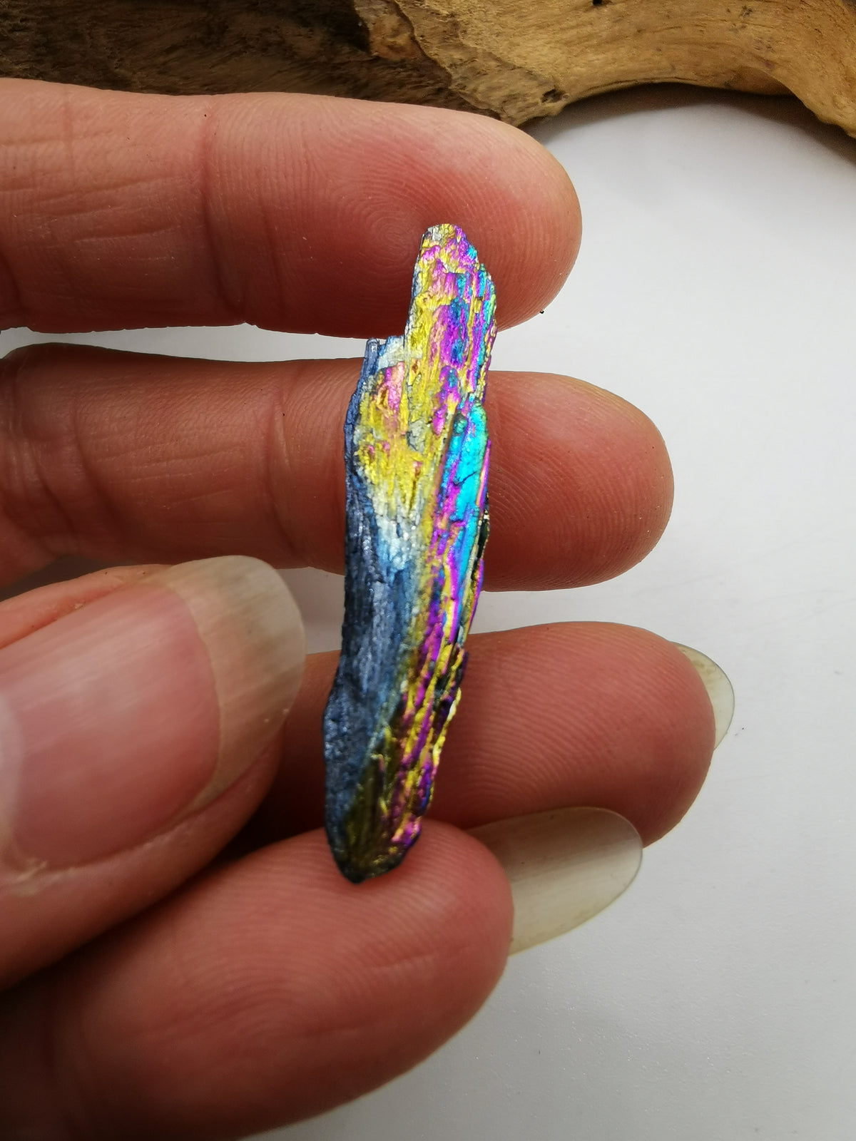Rainbow Aura Peacock Kyanite Feather
