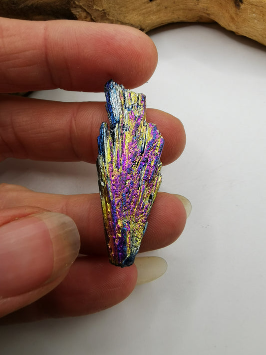 Rainbow Aura Peacock Kyanite Feather
