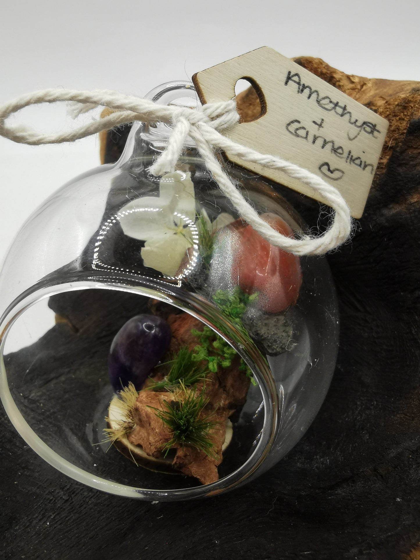Amethyst & Carnelian Crystal Hanging Terrarium