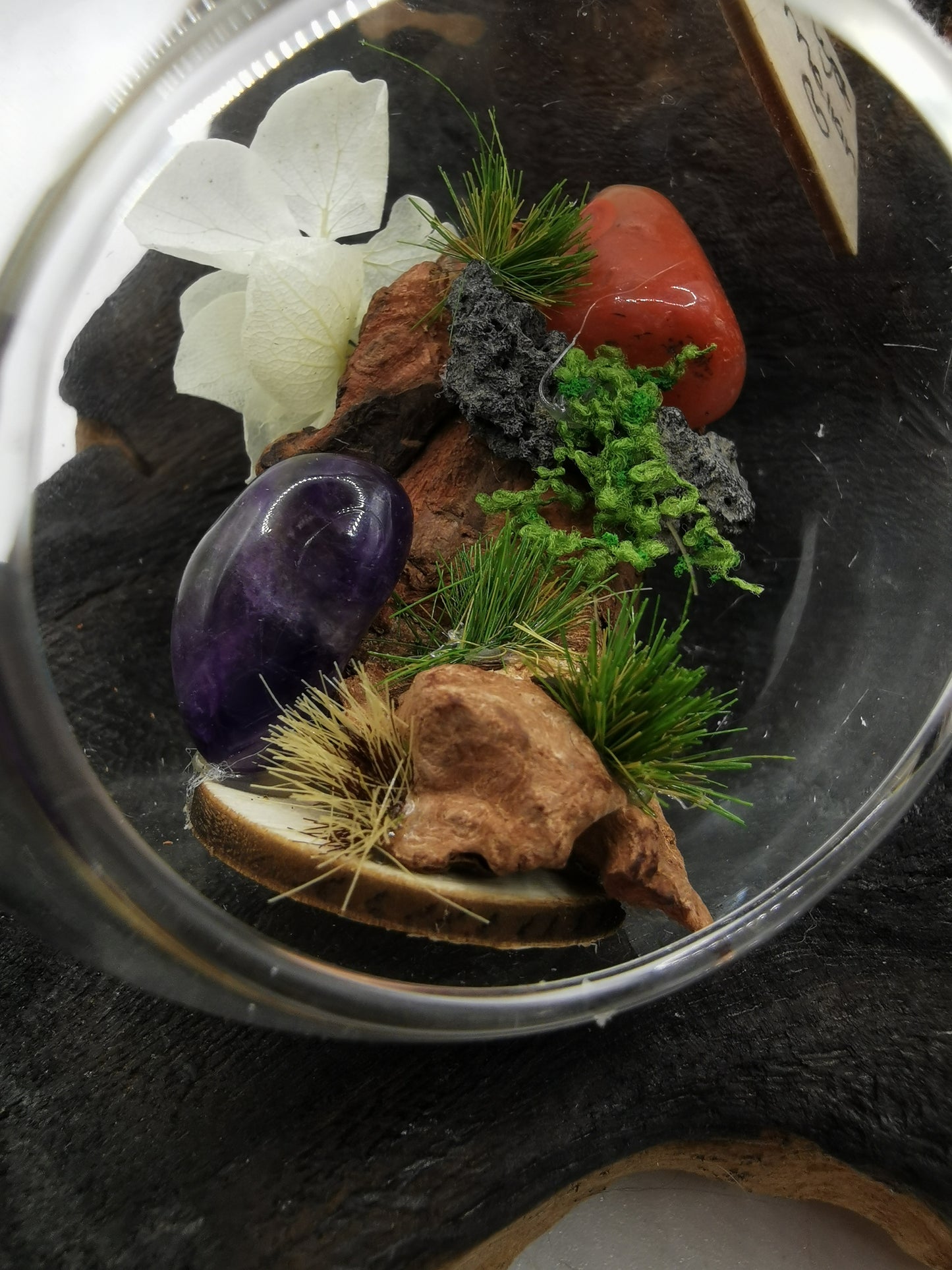 Amethyst & Carnelian Crystal Hanging Terrarium
