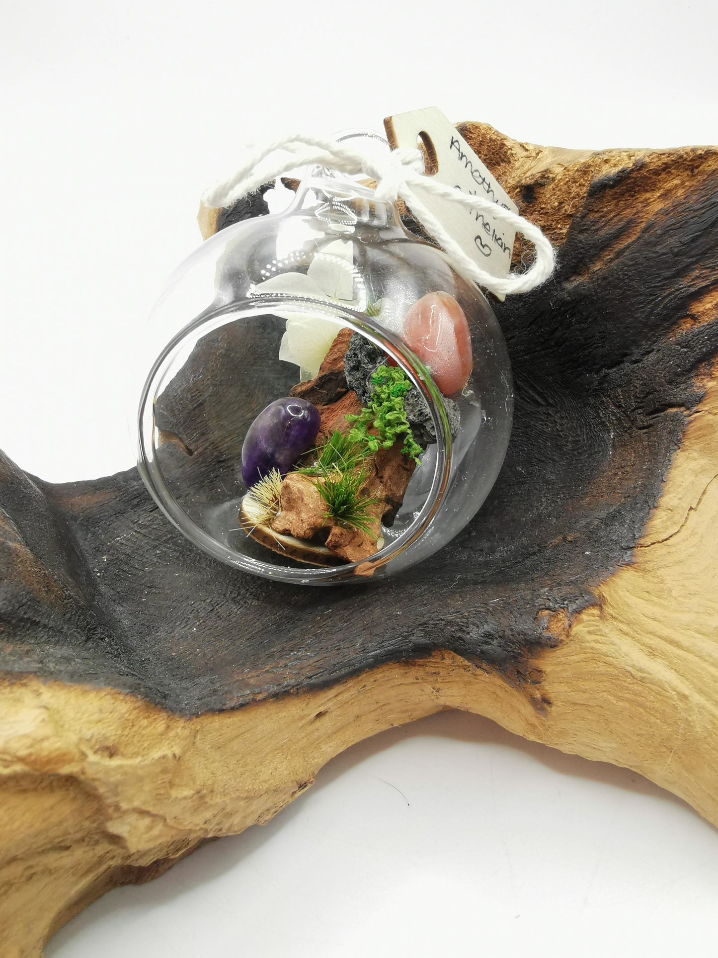 Amethyst & Carnelian Crystal Hanging Terrarium