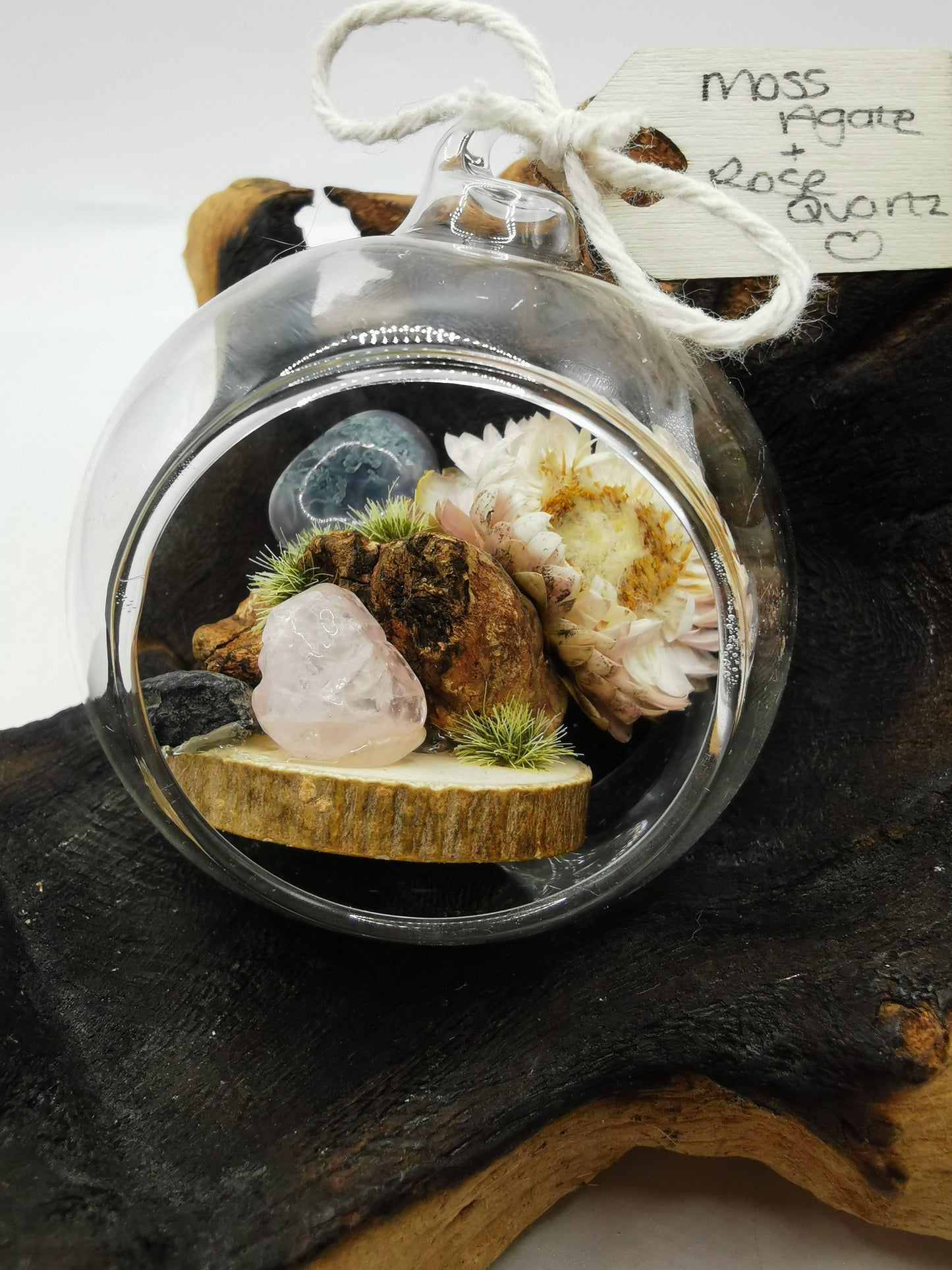 Moss Agate & Rose Quartz Crystal Hanging Terrarium